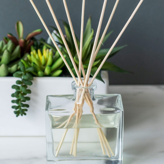 Reed diffusers 100ml - L*sh Dupes
